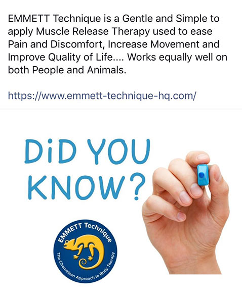 Did you know that the Emmett Technique is a muscle release therapy that eases pain and discomfort